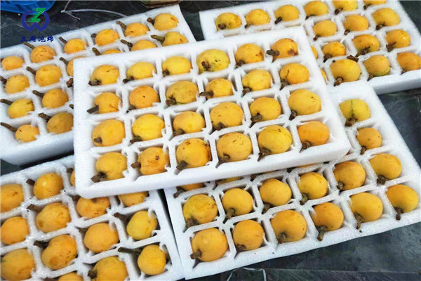 定做枇杷托的材料是環保的嗎？