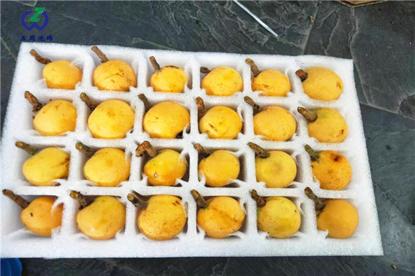 珍珠棉水果托 珍珠棉水果托